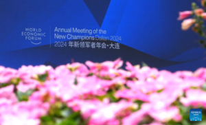 In pics: cultural event during Summer Davos in Dalian