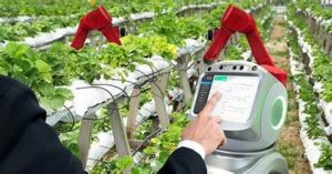 Agricultural products are harvested across China