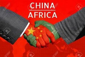 Female ranger teams in Kenya and China safeguard wildlife