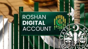Overseas Pakistanis to Get New Digital Facilities
