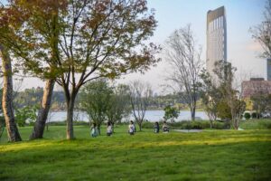 Pocket parks drive urban renewal, eco-improvement efforts in China