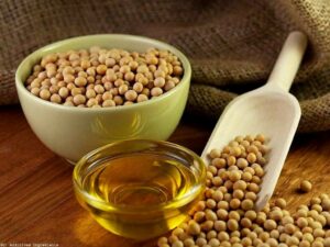 Plan submitted to reduce Pakistan’s reliance on edible oil imports