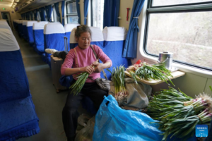 China unveils five-year plan to upgrade supply and marketing cooperatives for better rural services