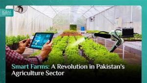 Pakistan: UAF, HBL to enhance collaboration for agricultural development