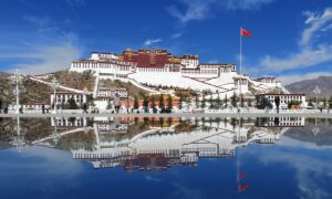 Latest relief and rescue progress at Xizang’s mudslide-hit border port