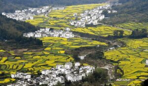 China to strengthen ecological protection for more resilient ecosystems by 2030