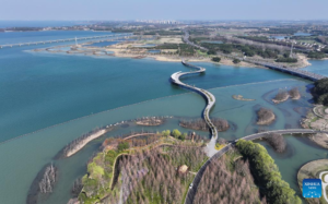 Major Chinese river-to-sea canal passes completion acceptance