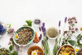 Herbal medicine sector: There’s a USD200m annual loss due to imported raw materials: PAAM