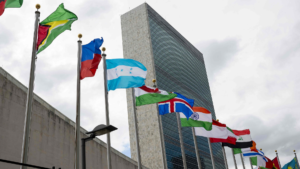 FM Dar congratulates the five nations elected to UNSC non-permanent seats